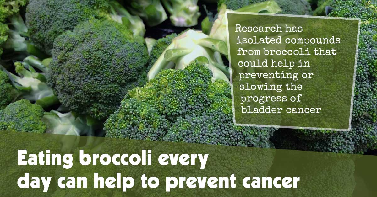 Daily Consumption of Broccoli as a Preventive Measure Against Cancer