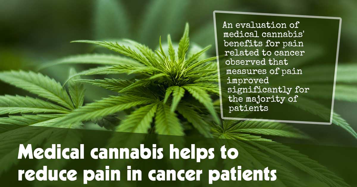 Cannabis-Based Treatment Eases Pain for Cancer Patients